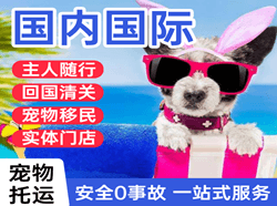 虹桥航空货运国际宠物托运 【国